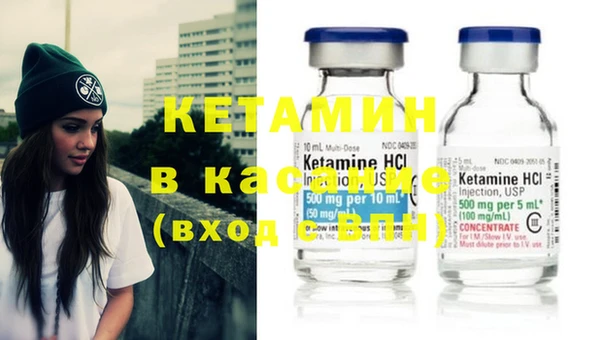 шишки Горняк