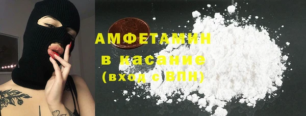шишки Горняк