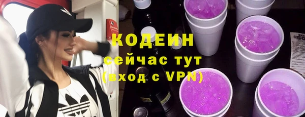 шишки Горняк