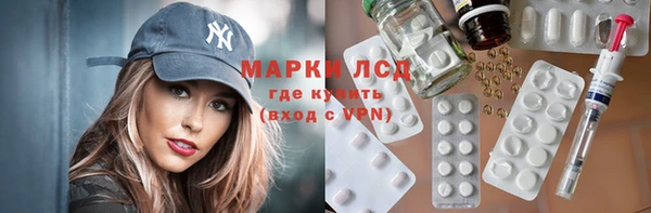 шишки Горняк