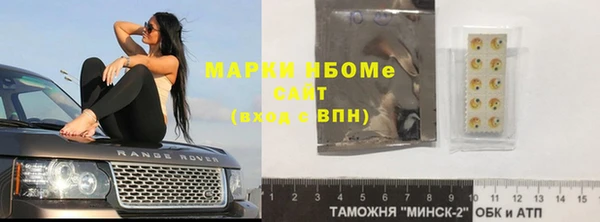 шишки Горняк