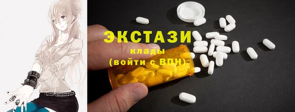 шишки Горняк