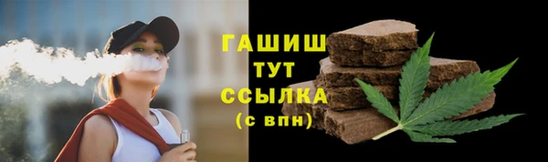 шишки Горняк