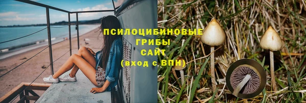 не бодяженный Горнозаводск