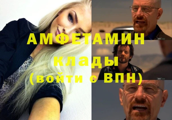 шишки Горняк