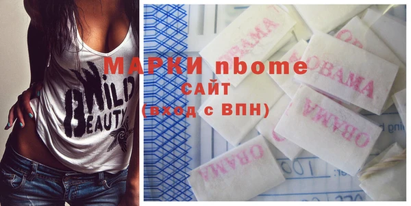 шишки Горняк