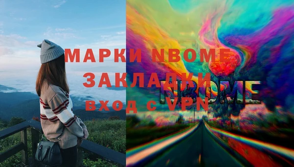 шишки Горняк