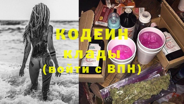 шишки Горняк