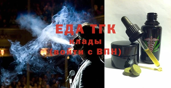 шишки Горняк
