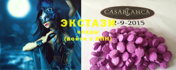 шишки Горняк