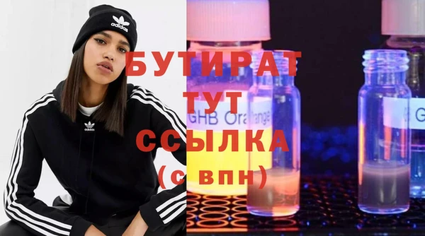 шишки Горняк