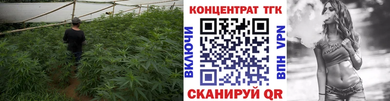 закладки  Гусиноозёрск  ТГК вейп с тгк 