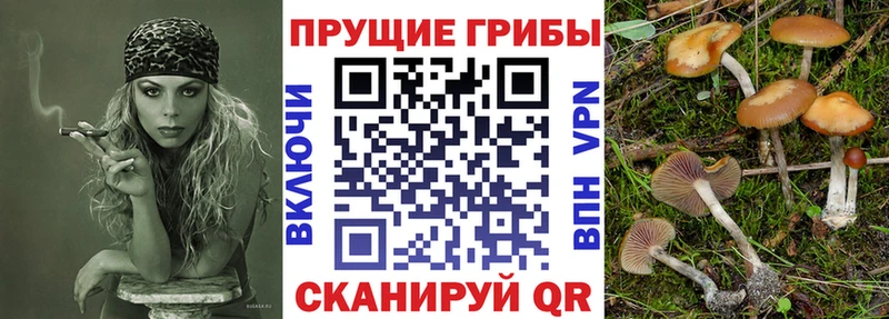 Галлюциногенные грибы мухоморы  цены наркотик  Гусиноозёрск 